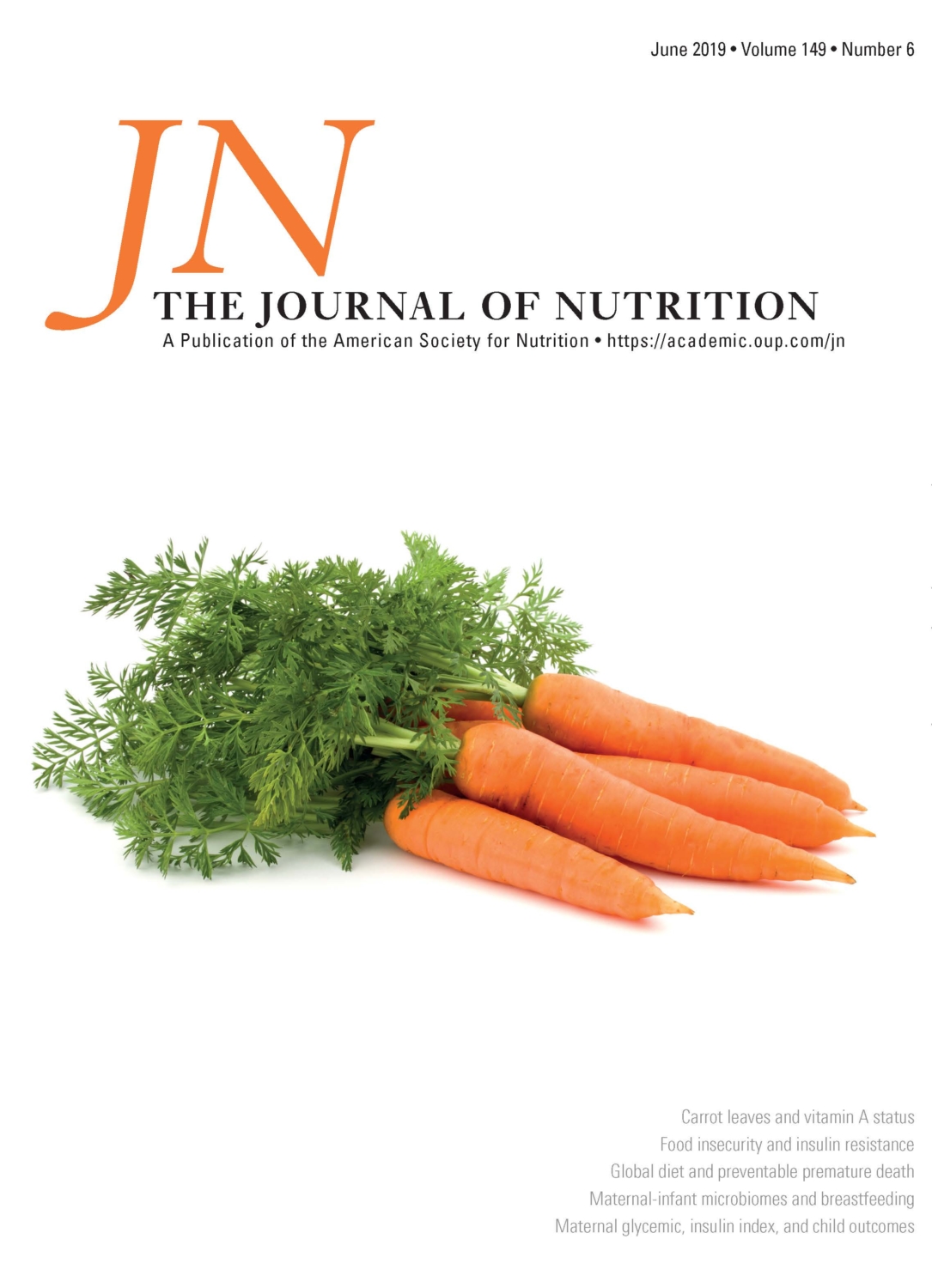 Pinto beans may help lower cholesterol