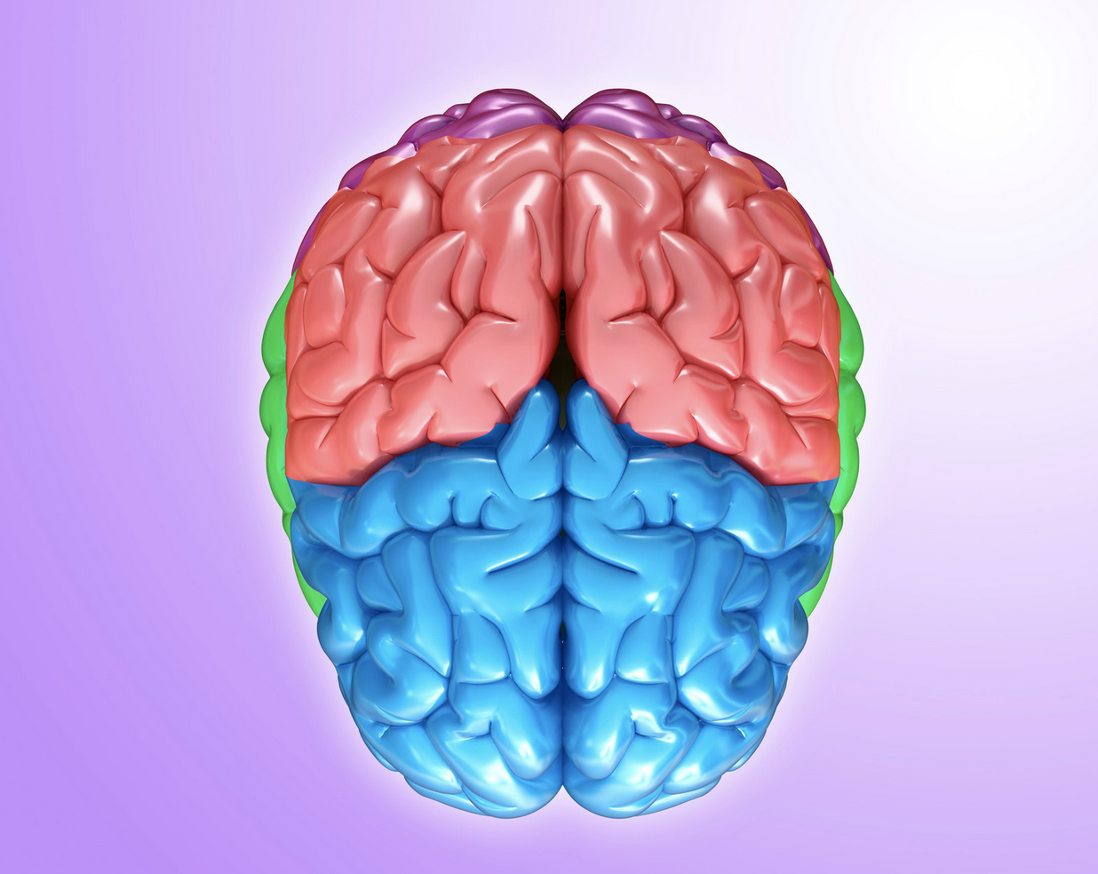 Neural Activation Patterns In Response To Food Related Cues Neural Activation Patterns In Response To Food Related Cues